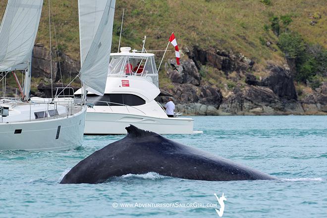 2016 Audi Hamilton Island Race Week - Day 2 © Nic Douglass / www.AdventuresofaSailorGirl.com